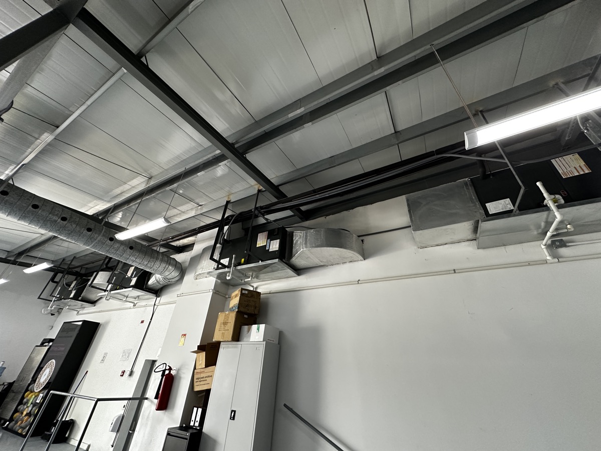 ¿Por qué deberías invertir en un purificador de aire para tu oficina?